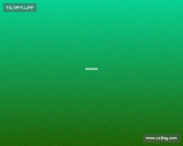 拜仁联赛不败纪录